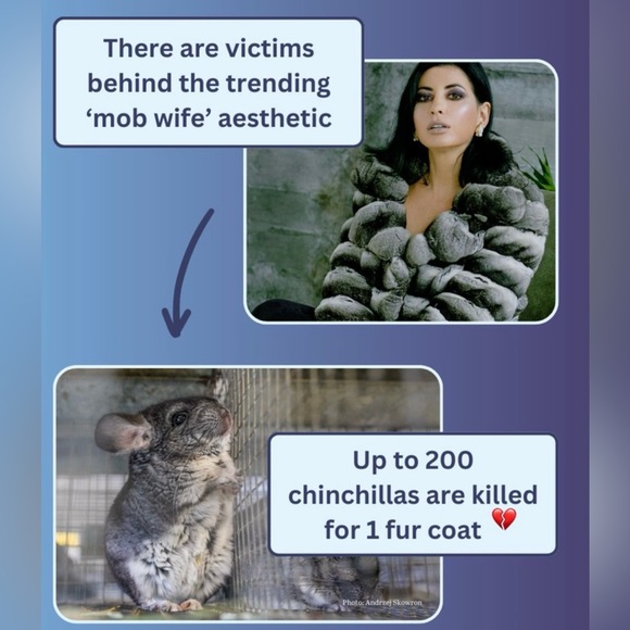 ๐๐งฅBUY PRE-OWNED ANIMAL PARTS & SAVE LIVES ๐ ๐ข - Picture 7 of 10